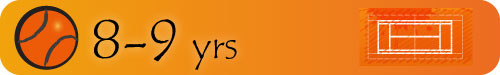 mini_orange_banner-500x75