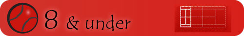 mini_red_banner-500x75